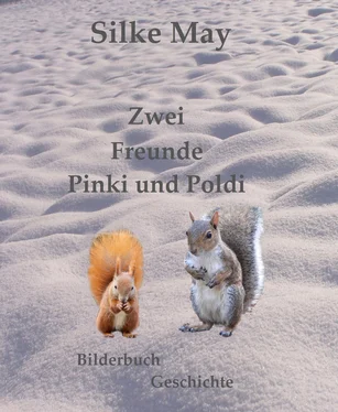 Silke May Zwei Freunde Pinki und Poldi обложка книги