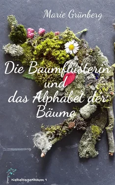 Marie Grünberg Die Baumflüsterin und das Alphabet der Bäume обложка книги