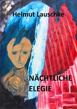 Helmut Lauschke Nächtliche Elegie обложка книги
