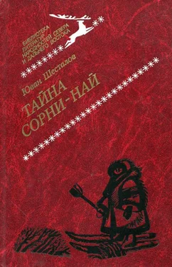 Юван Шесталов Тайна Сорни-най обложка книги