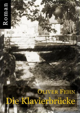 Oliver Fehn Die Klavierbrücke обложка книги