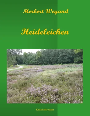 Herbert Weyand Heideleichen обложка книги