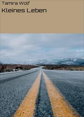 Tamira Wolf - Kleines Leben