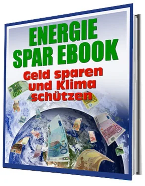 Rüdiger Küttner-Kühn Energie Sparen und Klima schützen обложка книги