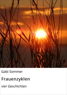 Gabi Sommer Frauenzyklen обложка книги