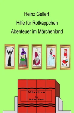 Heinz Gellert Hilfe für Rotkäppchen обложка книги