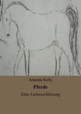 Amanda Kelly Pferde обложка книги