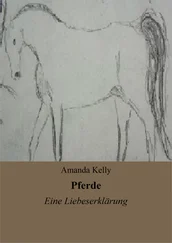 Amanda Kelly - Pferde