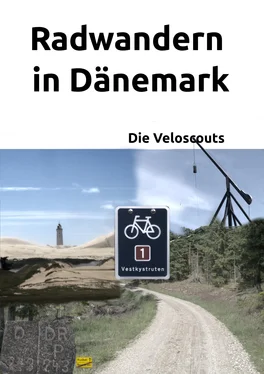 Die Veloscouts Radwandern in Dänemark – Route 1 обложка книги