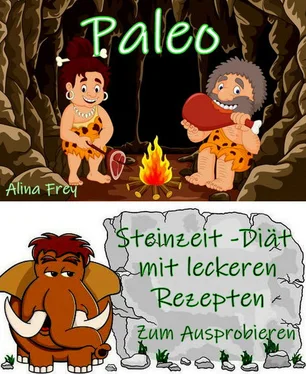 Alina Frey Paleo - die Steinzeit-Diät обложка книги