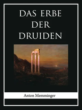 Anton Memminger Das Erbe der Druiden обложка книги