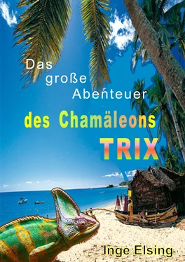 Inge Elsing-Fitzinger Das große Abenteuer des Chamäleons TRIX обложка книги