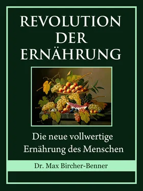 Dr. Max Bircher-Benner Revolution der Ernährung обложка книги