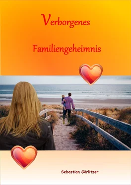 Sebastian Görlitzer Verborgenes Familiengeheimnis обложка книги