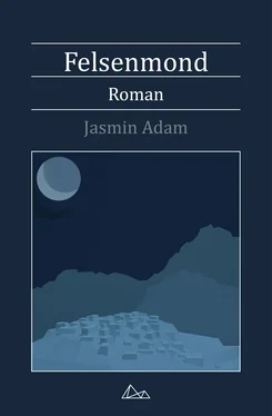 Jasmin Adam Felsenmond обложка книги