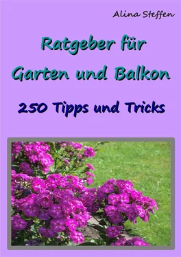 Alina Steffen Ratgeber für Garten und Balkon обложка книги