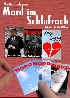 Martin Cordemann Mord im Schlafrock обложка книги
