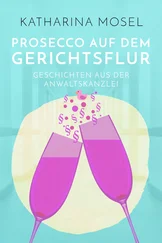 Katharina Mosel - Prosecco auf dem Gerichtsflur