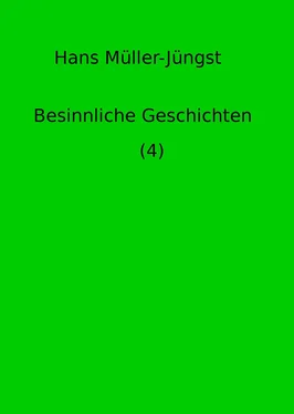 Hans Müller-Jüngst Besinnliche Geschichten (4) обложка книги