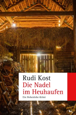 Rudi Kost Die Nadel im Heuhaufen обложка книги
