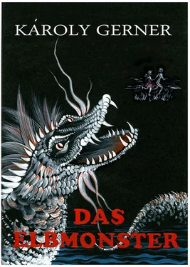 Gerner, Károly Das Elbmonster обложка книги
