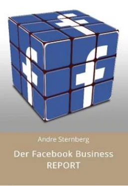 André Sternberg Der Facebook Business REPORT обложка книги
