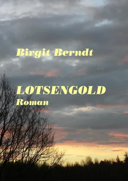 Birgit Berndt LOTSENGOLD обложка книги