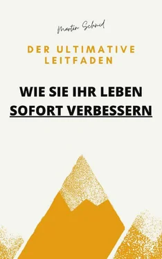 Martin Schmid Der ultimative Leitfaden: Wie Sie Ihr Leben sofort verbessern обложка книги