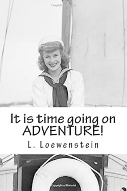 L. Loewenstein It is time going on ADVENTURE! обложка книги