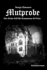 Sonja Zimmer - Mutprobe - Der dritte Fall für Kommissar de Vries