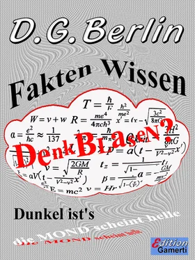 D. G. Berlin Fakten Wissen Denkblasen? обложка книги