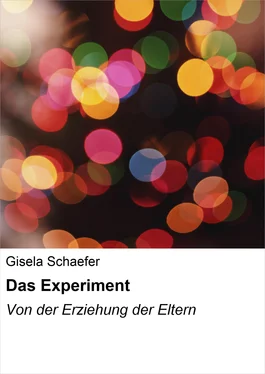 Gisela Schaefer Das Experiment обложка книги