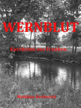 Matthias Herberich Wernblut обложка книги