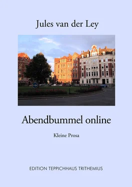 Jules van der Ley Abendbummel online обложка книги