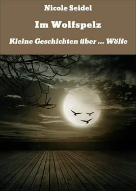 Nicole Seidel Im Wolfspelz обложка книги