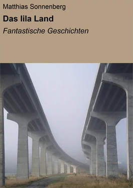 Matthias Sonnenberg Das lila Land обложка книги