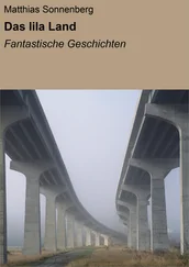 Matthias Sonnenberg - Das lila Land