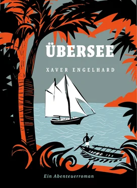 Xaver Engelhard Übersee обложка книги