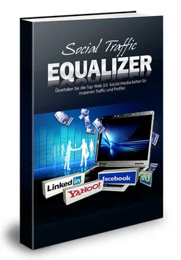 Thomas Skirde Social Traffic Equalizer обложка книги