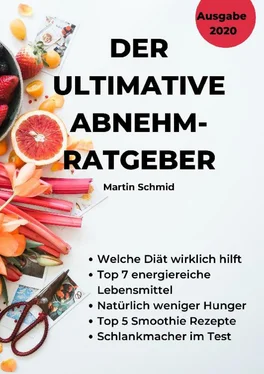 Martin Schmid Der ultimative Abnehm-Ratgeber: Wie Sie sicher abnehmen! обложка книги