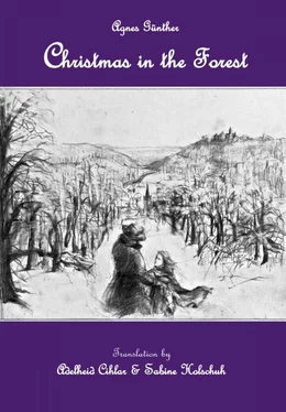 Cihlar &amp; Holschuh Christmas in the Forest обложка книги