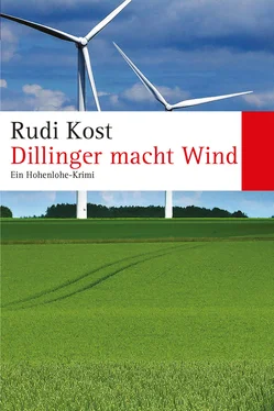 Rudi Kost Dillinger macht Wind обложка книги