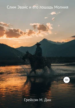 Грейхэм Дин Слим Эванс и его лошадь Молния обложка книги