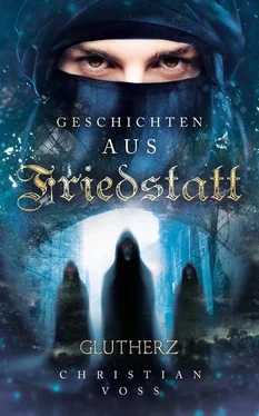 Christian Voss Geschichten aus Friedstatt Band 1: Glutherz обложка книги