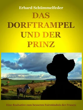 Erhard Schümmelfeder DAS DORFTRAMPEL UND DER PRINZ обложка книги