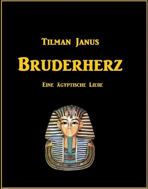 Tilman Janus Bruderherz обложка книги