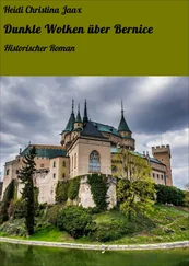 Heidi Christina Jaax - Dunkle Wolken über Bernice