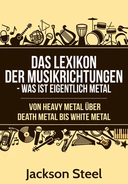 Jackson Steel Das Lexikon der Musikrichtungen - Was ist eigentlich Metal ? обложка книги