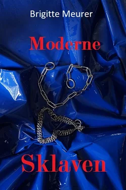 Brigitte Meurer Moderne Sklaven обложка книги
