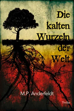 M.P. Anderfeldt Die kalten Wurzeln der Welt обложка книги